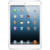 Apple iPad mini 16Gb Wi-Fi + Cellular белый - Щербинка
